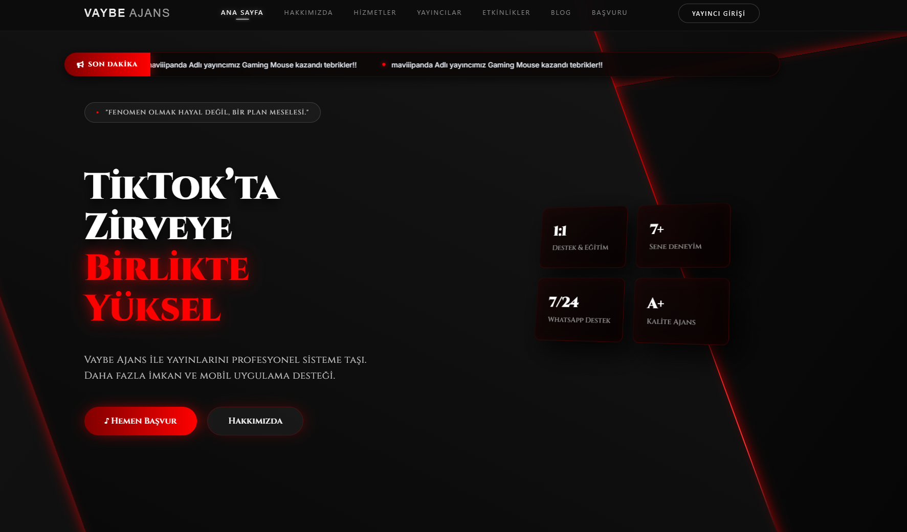 Vaybe Ajans Web Site Projesi